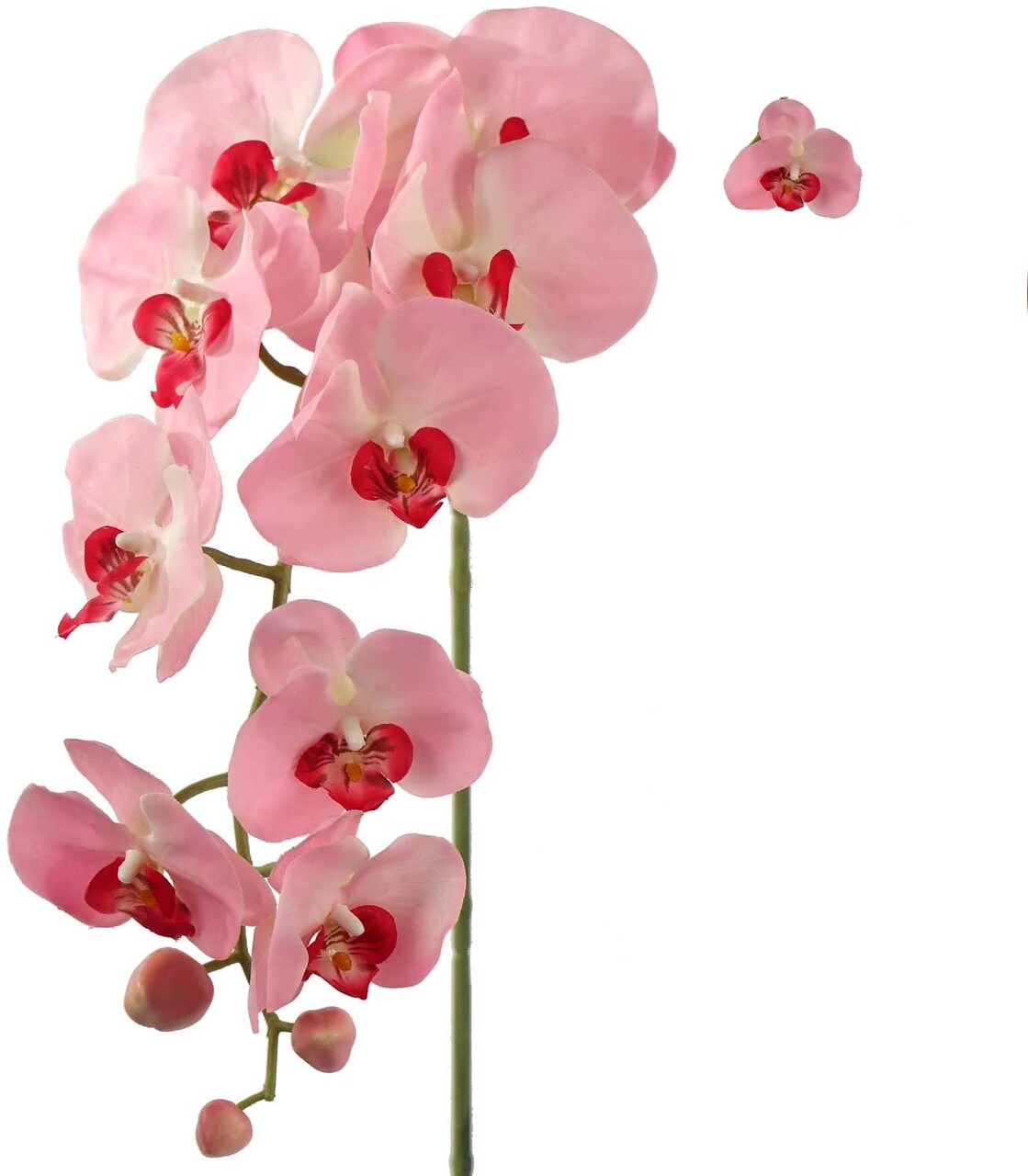 49" Massive Pink Phalaenopsis Orchid Stem, 16 Realistic Silk Flowers & Lush Green Buds, Fake Orchids, Parties & Events, Home & Office Decor